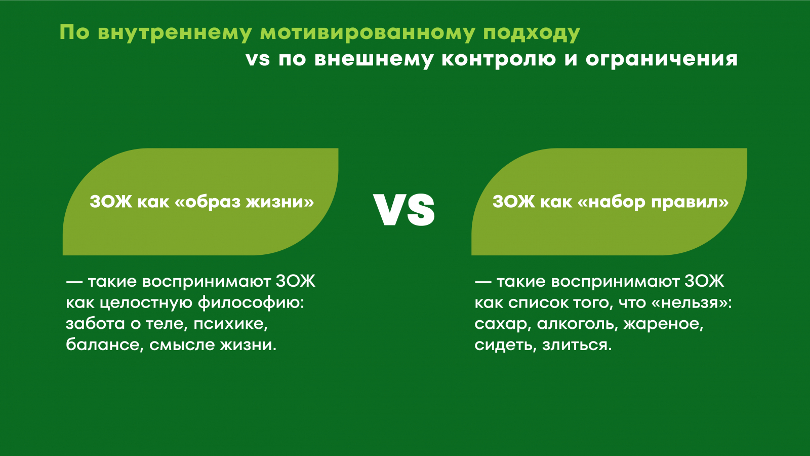 ekologiya i zdorovyy obraz zhizni rossiyskie brendy s osoznannym podhodom