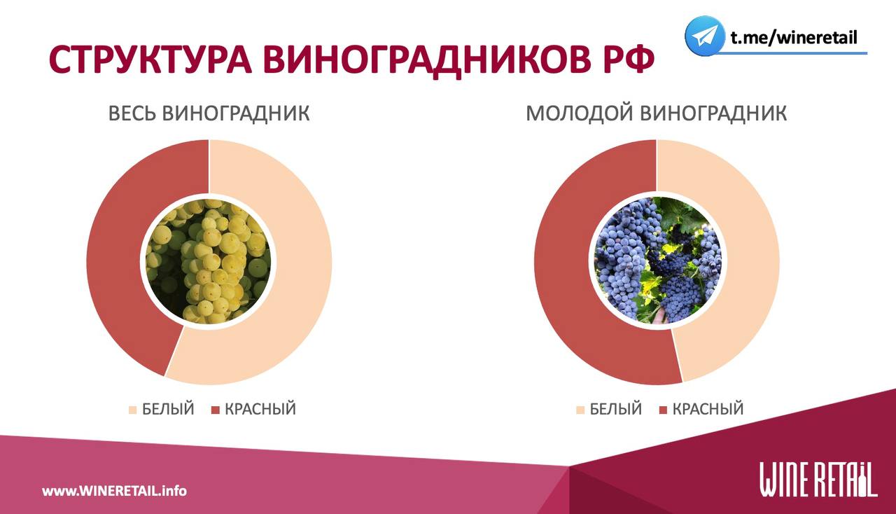 evolyutsiya rossiyskogo stilya ot sovetskogo naslediya k sovremennomu trendu
