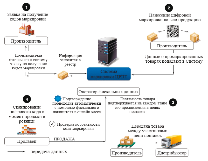tsifrovizatsiya legkoy promyshlennosti rossii ot dizayna do logistiki